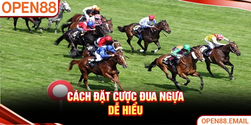 Cách đặt cược đua ngựa dễ hiểu