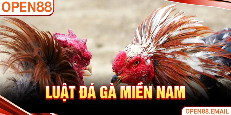 Luật đá gà miền Nam